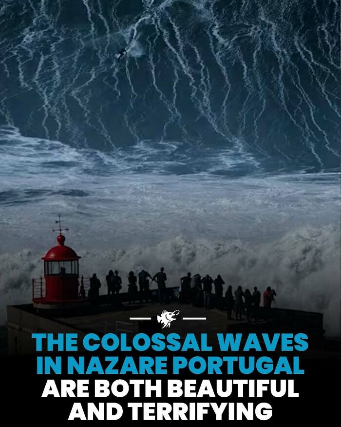 Colossal waves in Nazare Portugal with people observing deep sea phenomena showing both beauty and terror.