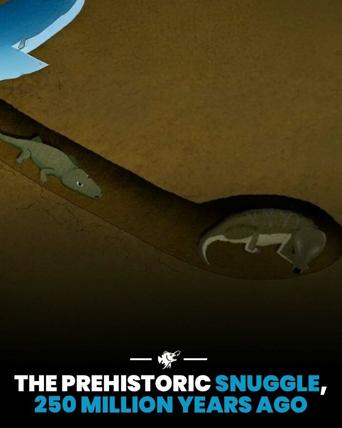 Prehistoric deep sea creatures snuggling in an ancient underwater environment 250 million years ago.