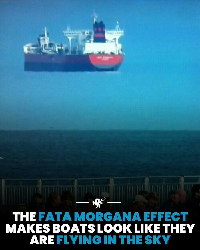 Ship appears to be floating above the ocean due to deep sea mirage phenomenon in interesting deep sea images.