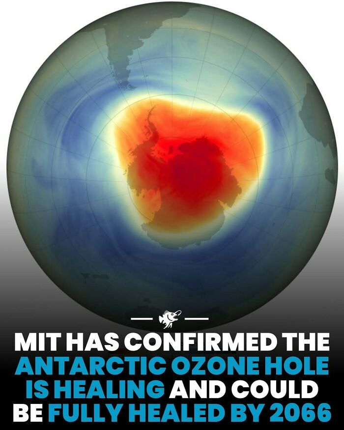 Heat map visualization of the Antarctic ozone hole showing healing progress and potential to be fully healed by 2066 deep sea facts.