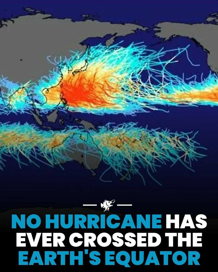 Hurricane paths shown on a map with no hurricanes crossing Earth's equator from deep sea images and facts.