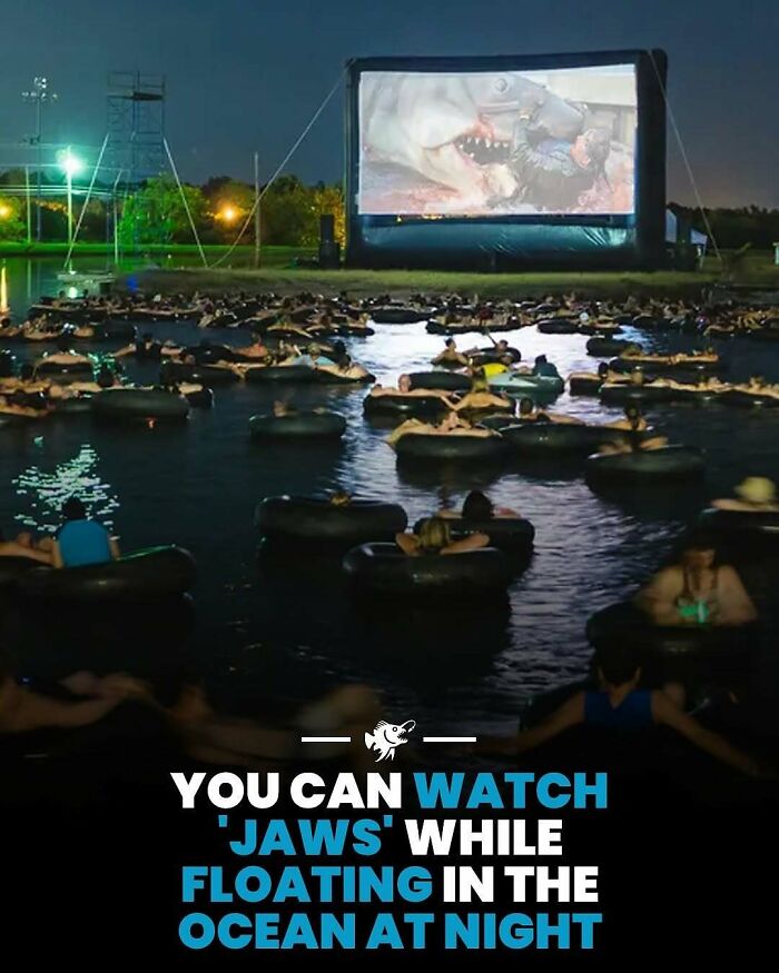 People floating on inner tubes watching a deep sea movie on a large outdoor screen at night near the ocean.