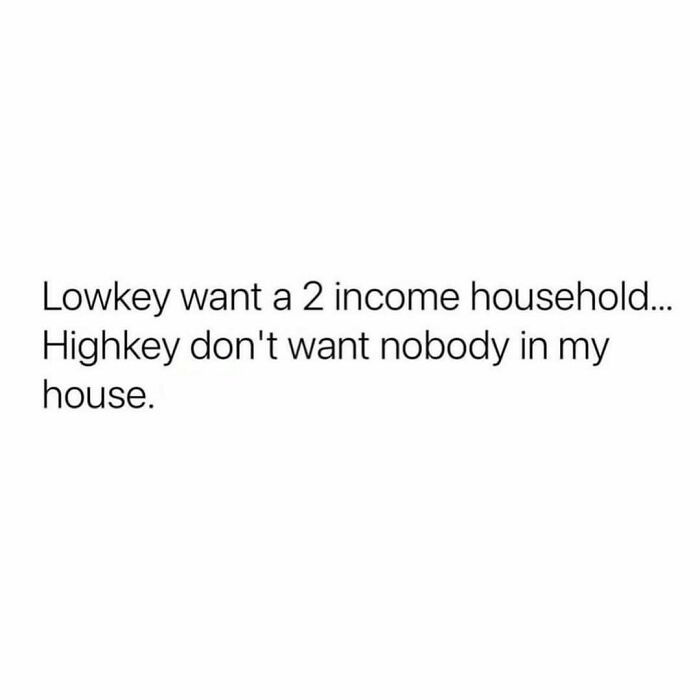 Funny relatable meme text about wanting a two income household but not wanting anyone in the house, relatable funny memes.