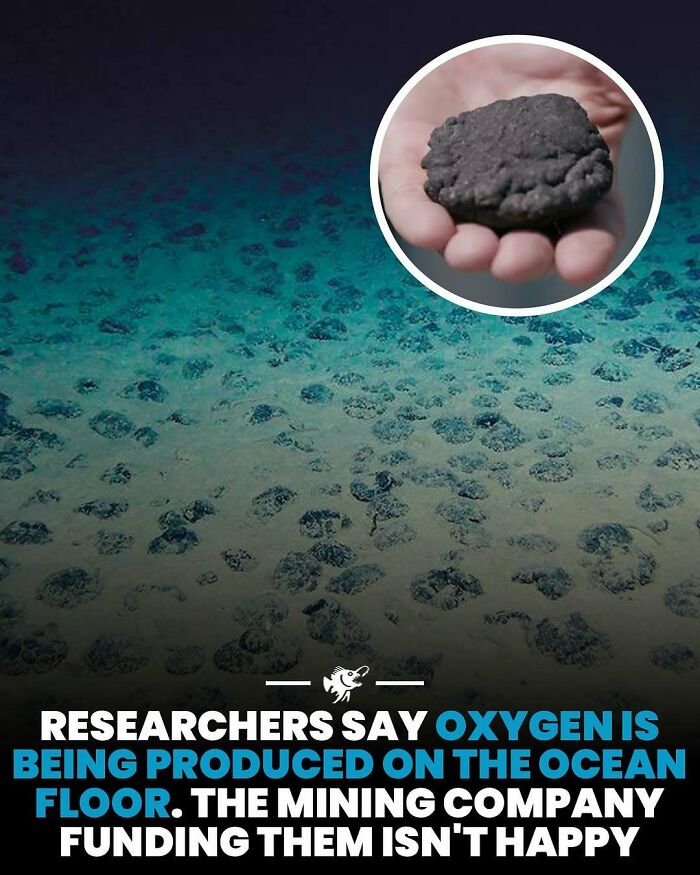Deep sea ocean floor with oxygen-producing formations and a close-up of a dark mineral, highlighting deep sea images and facts.