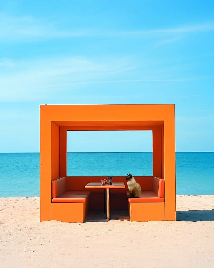 Minimalist photo of an orange beach seating area with a cat, set against a peaceful blue ocean and clear sky.