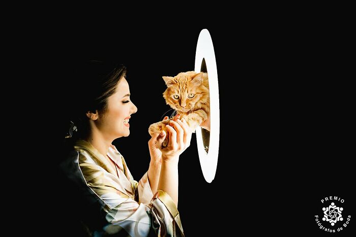 The Bride’s Best Friend Approves The Big Day — Paws And All