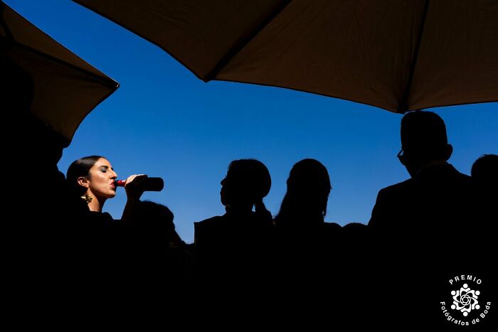 A Sip Of Sunshine Under The Bluest Sky