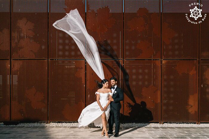 That Veil Has Better Dance Moves Than Most Guests