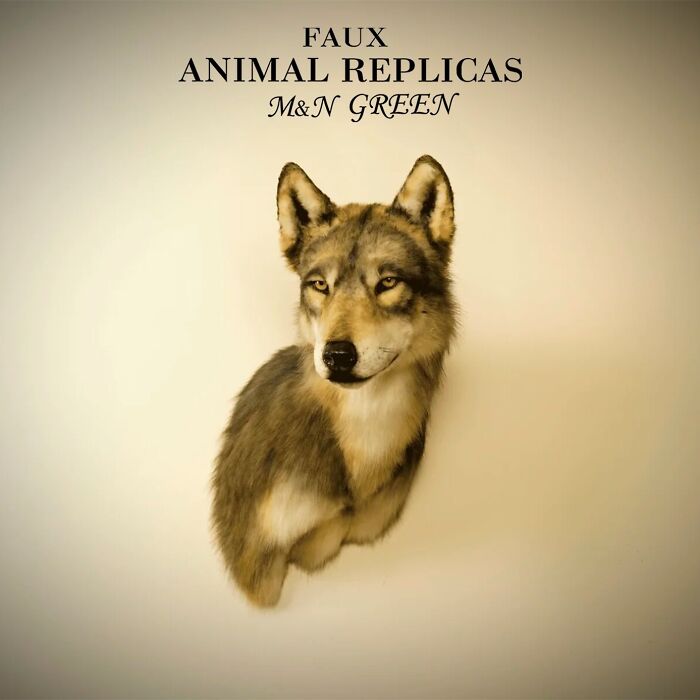 Stunningly realistic wolf animal sculpture crafted with synthetic materials, showcasing faux replicas without harming wildlife.