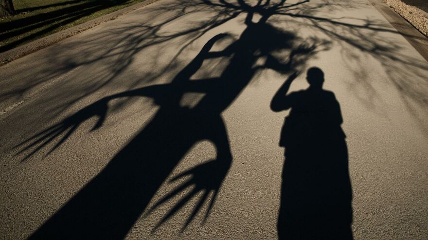 Funny And Strange Things I Notice On My Walks