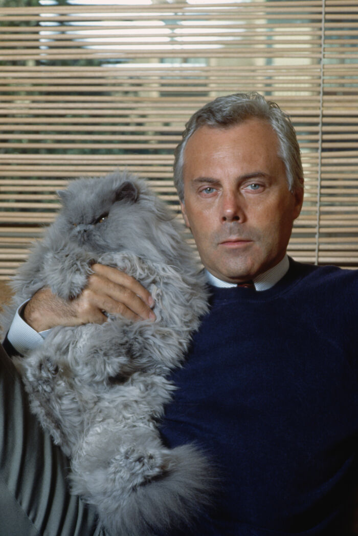 Giorgio Armani holding a fluffy gray cat, wearing a navy sweater, sitting in front of a window with blinds. Giorgio Armani holding a fluffy gray cat, wearing a navy sweater, sitting in front of a window with blinds.