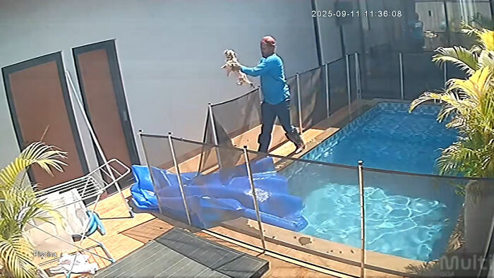 Pool attendant wearing blue lifts blind dog from pool in a dramatic rescue near fenced swimming area. Pool attendant wearing blue lifts blind dog from pool in a dramatic rescue near fenced swimming area.