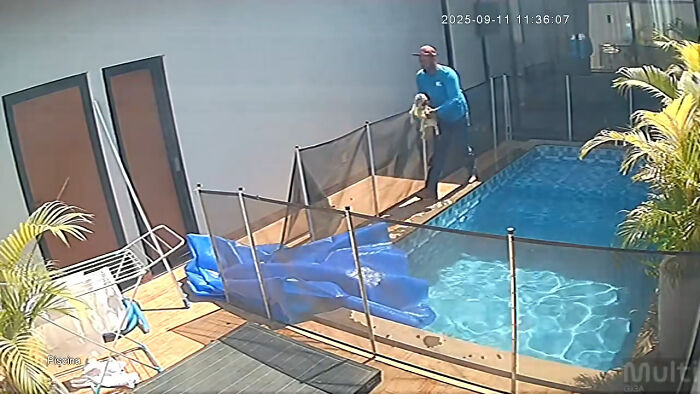 Pool attendant in blue shirt holding a small dog near a fenced backyard pool during a rescue. Pool attendant in blue shirt holding a small dog near a fenced backyard pool during a rescue.