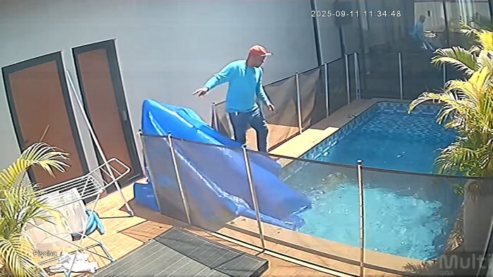 Pool attendant in blue shirt and red cap leans over pool fence during rescue of a blind dog from drowning. Pool attendant in blue shirt and red cap leans over pool fence during rescue of a blind dog from drowning.
