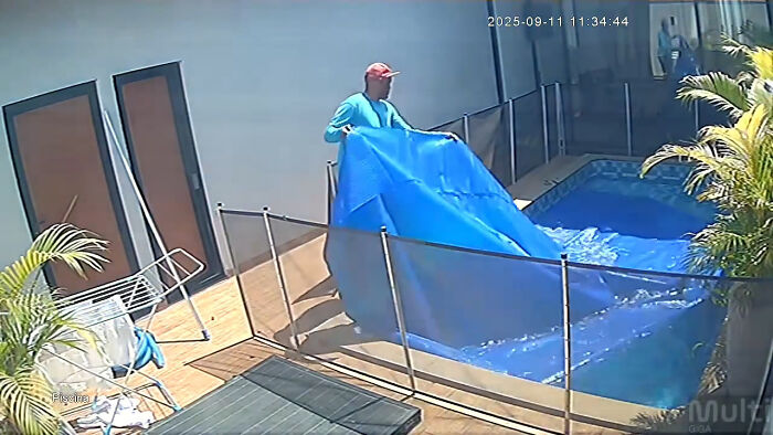 Pool attendant near a residential pool preparing to save a blind dog from drowning in a heart-stopping rescue. Pool attendant near a residential pool preparing to save a blind dog from drowning in a heart-stopping rescue.