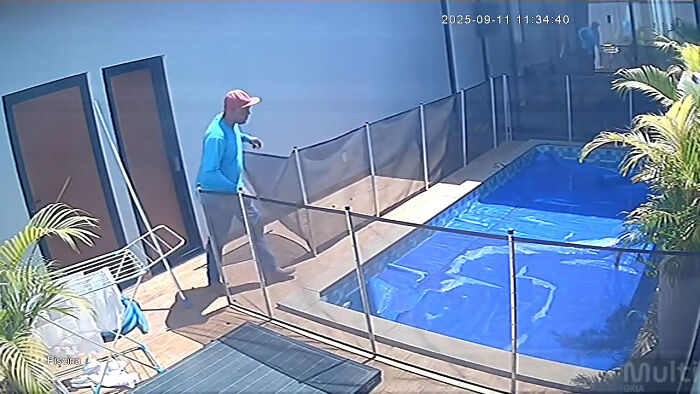 Pool attendant in a blue shirt and red cap approaching a fenced pool, preparing to save a blind dog from drowning. Pool attendant in a blue shirt and red cap approaching a fenced pool, preparing to save a blind dog from drowning.