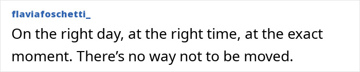 Pool attendant rescuing a blind dog from drowning in a heart-stopping and heroic poolside rescue moment. Pool attendant rescuing a blind dog from drowning in a heart-stopping and heroic poolside rescue moment.