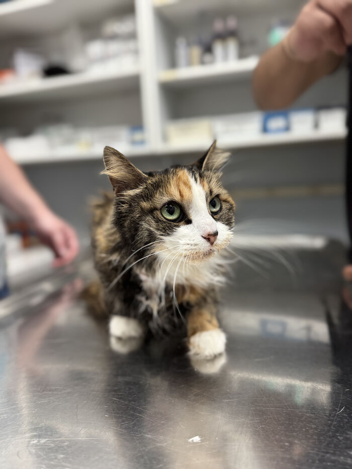 Hidden Costs Of Surrender: What No One Thinks About