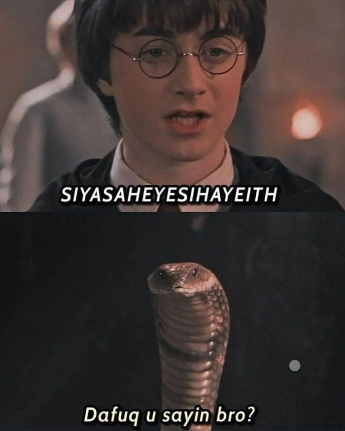 Snake: Why Do You Want To Go Blow Up Dudley’s Bathroom? (Well, Actually That’s Not A Bad Idea)