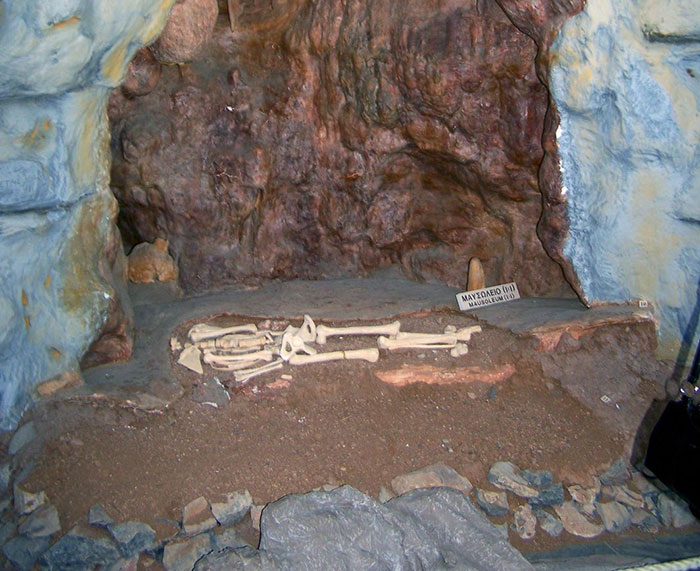 Skeleton remains displayed inside a cave representing the mysterious Petralona Man skull found by experts.