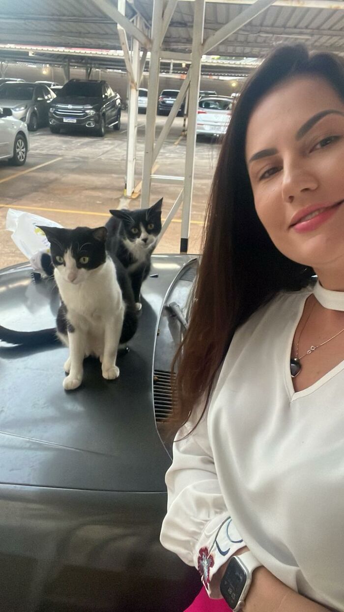 Woman with two stray cats sitting on a car turned into a tiny condo for stray cats in a covered parking area.