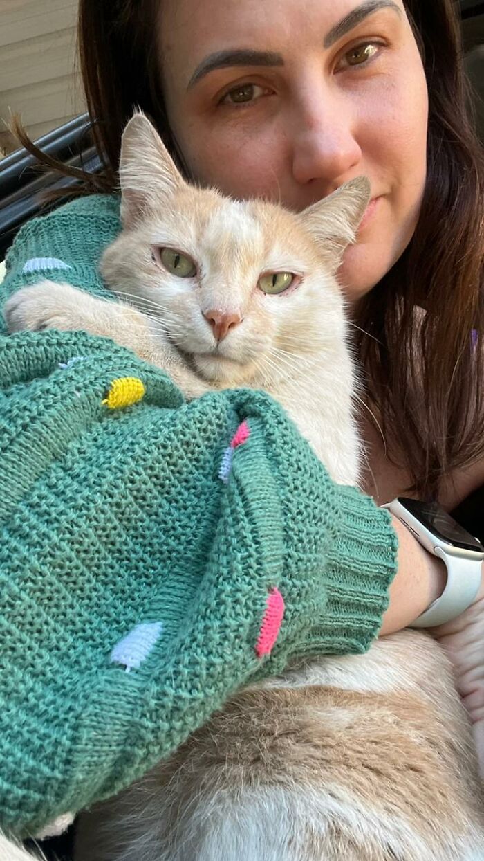 Woman holding a stray cat wrapped in a textured green sweater, showcasing care in a tiny condo converted from a car.