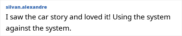 Comment text on a white background about loving the story of a woman turning a car into a tiny condo for stray cats.