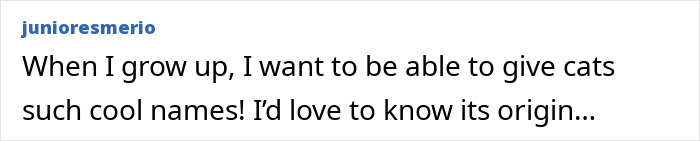 Comment about giving cats cool names, expressing admiration for creativity in caring for stray cats turned into tiny condo.