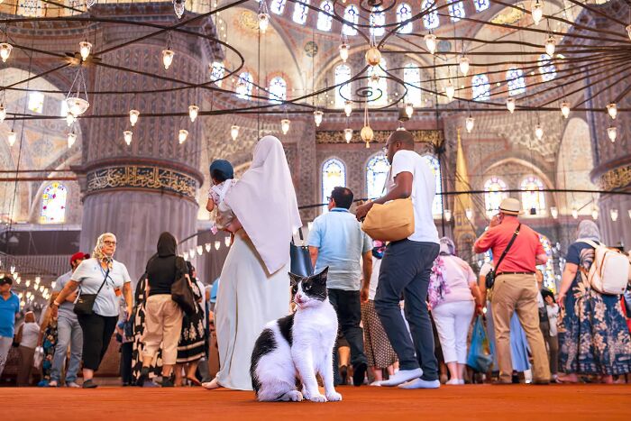 Istanbul Street Photography