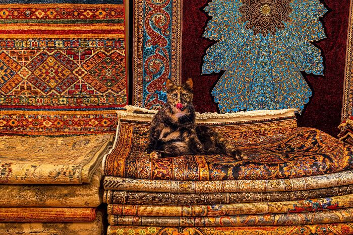 Istanbul Street Photography