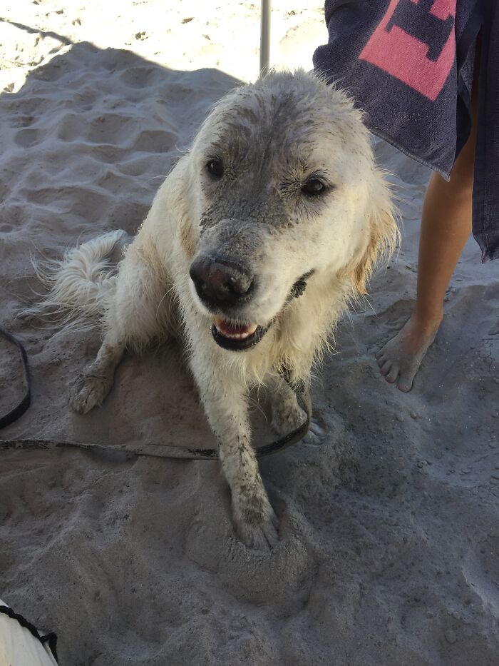 After Digging At The Beach
