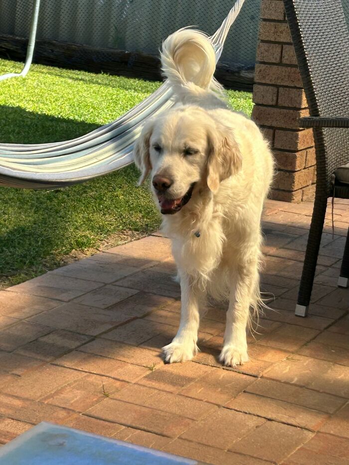 There's A Ball Outside The Frame That Needed To Be Thrown