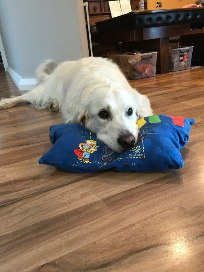 One Of The Family 'Pillows' He Claimed As His Own