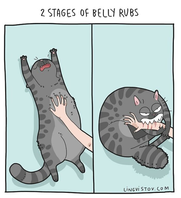 Cartoon cat in two stages of belly rubs, showing cat owners relatable comic moments about cat behavior and reactions.