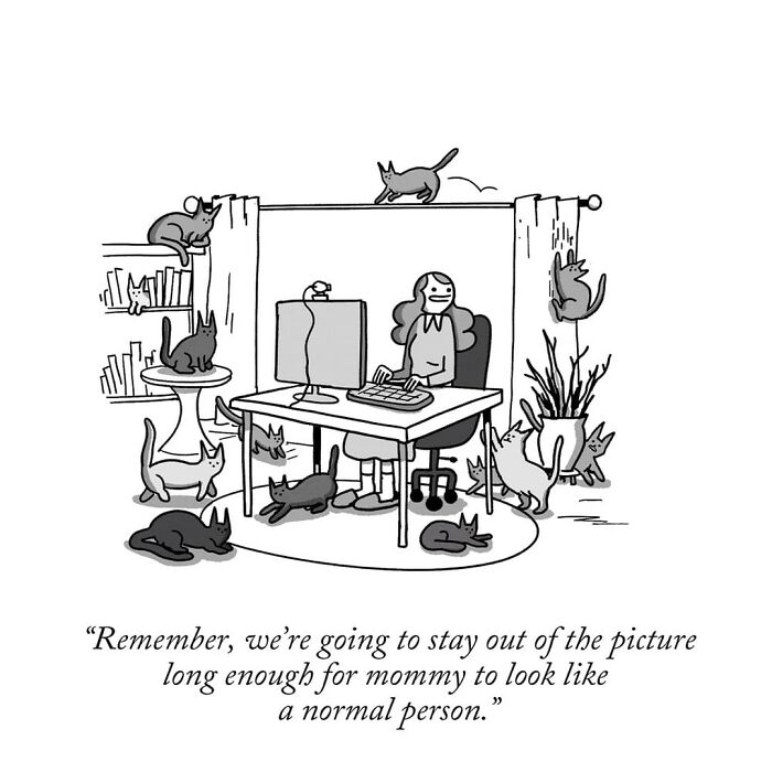 Darkly funny one-panel comic showing a woman surrounded by cats with a humorous caption about looking normal.