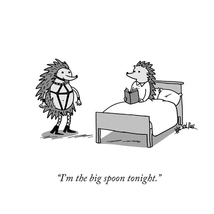 Two hedgehogs in a darkly funny one-panel comic by War and Peas, one dressed in leather, the other in bed reading.