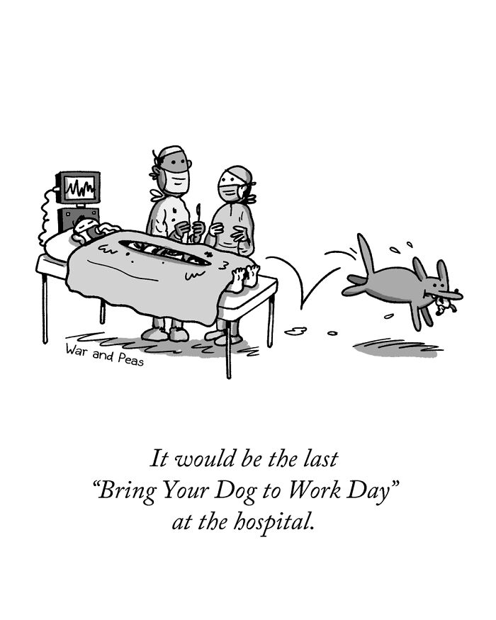Darkly funny one-panel comic shows surgeons shocked as dog jumps away with surgical organ during operation.