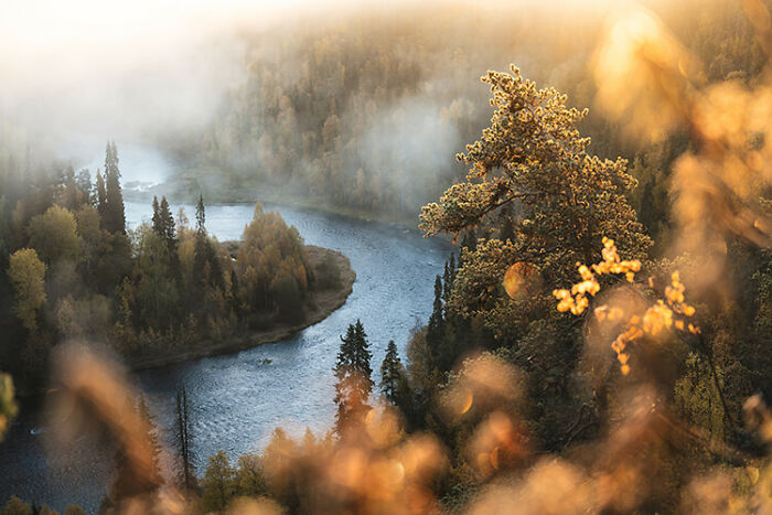 River winding through autumn forest with golden foliage and soft morning mist in the far north scenery.