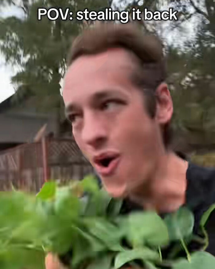 "Call The Cops": Man's Ongoing Plant Feud With House's Former Owner Goes Viral