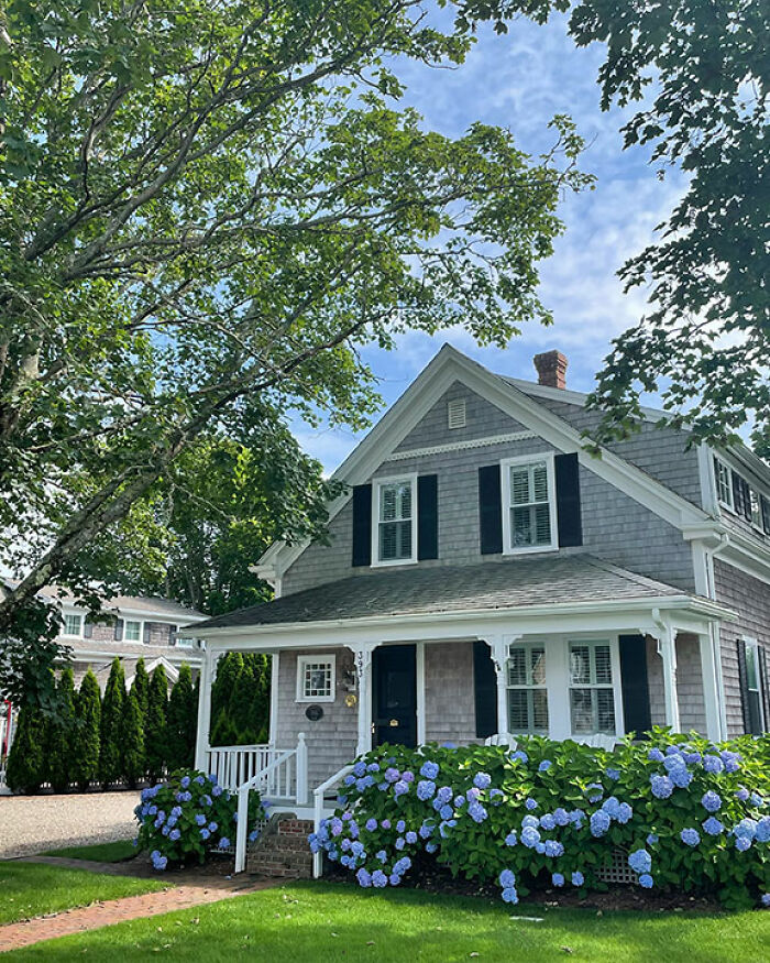 "Call The Cops": Man's Ongoing Plant Feud With House's Former Owner Goes Viral