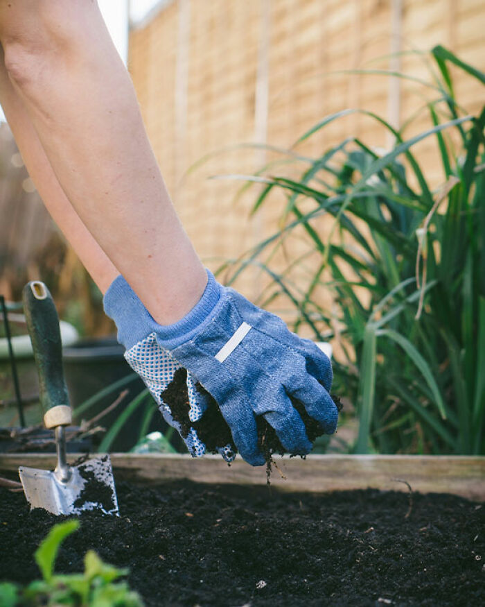 "Call The Cops": Man's Ongoing Plant Feud With House's Former Owner Goes Viral