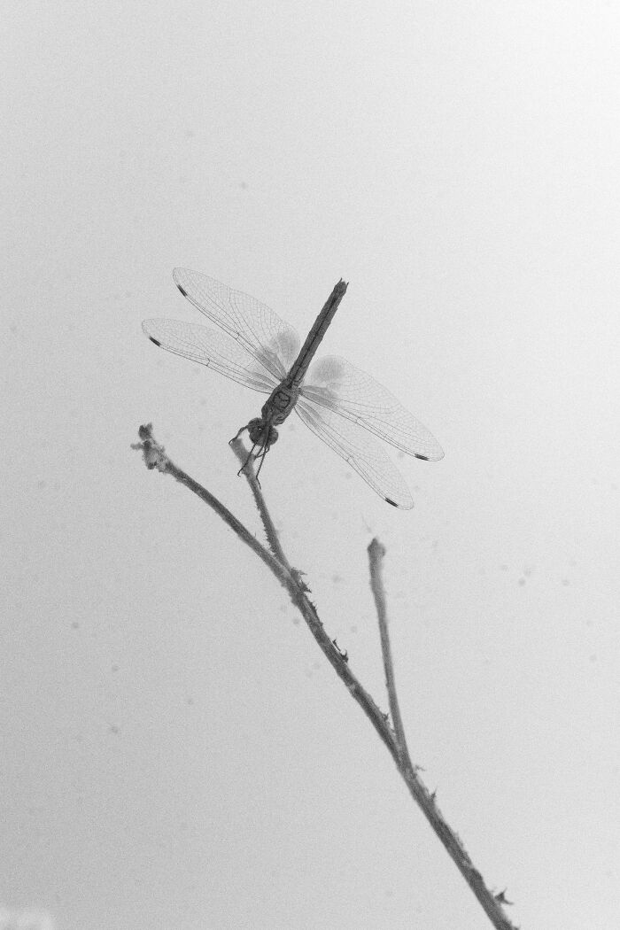 Through Max ISO, I Captured The Fading Mind Of My Father Before He Passed