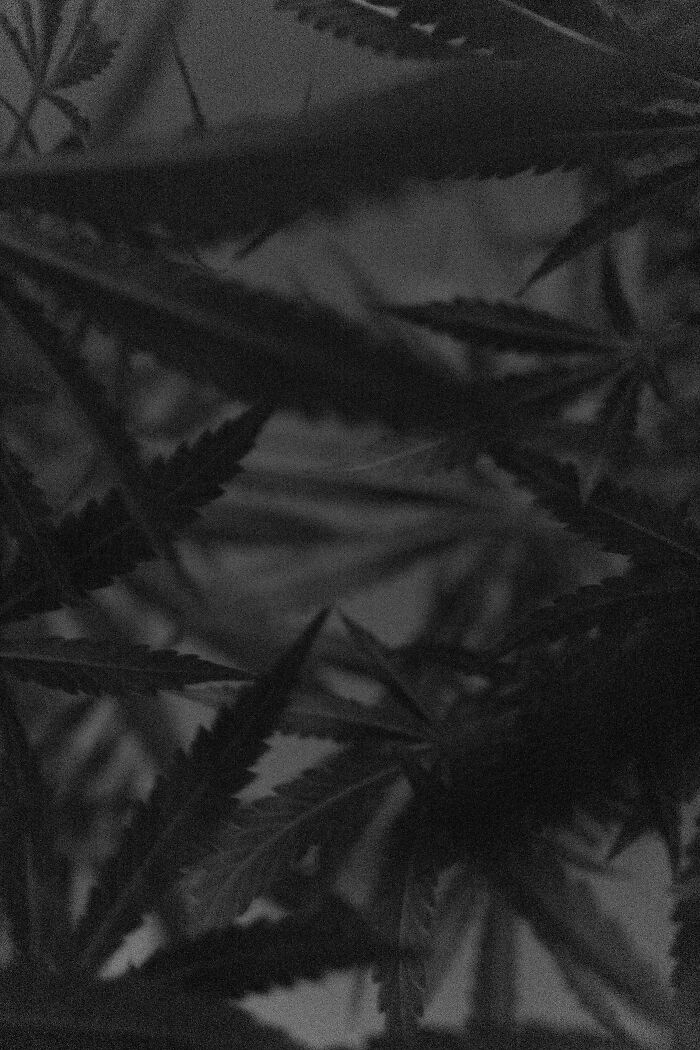 Through Max ISO, I Captured The Fading Mind Of My Father Before He Passed