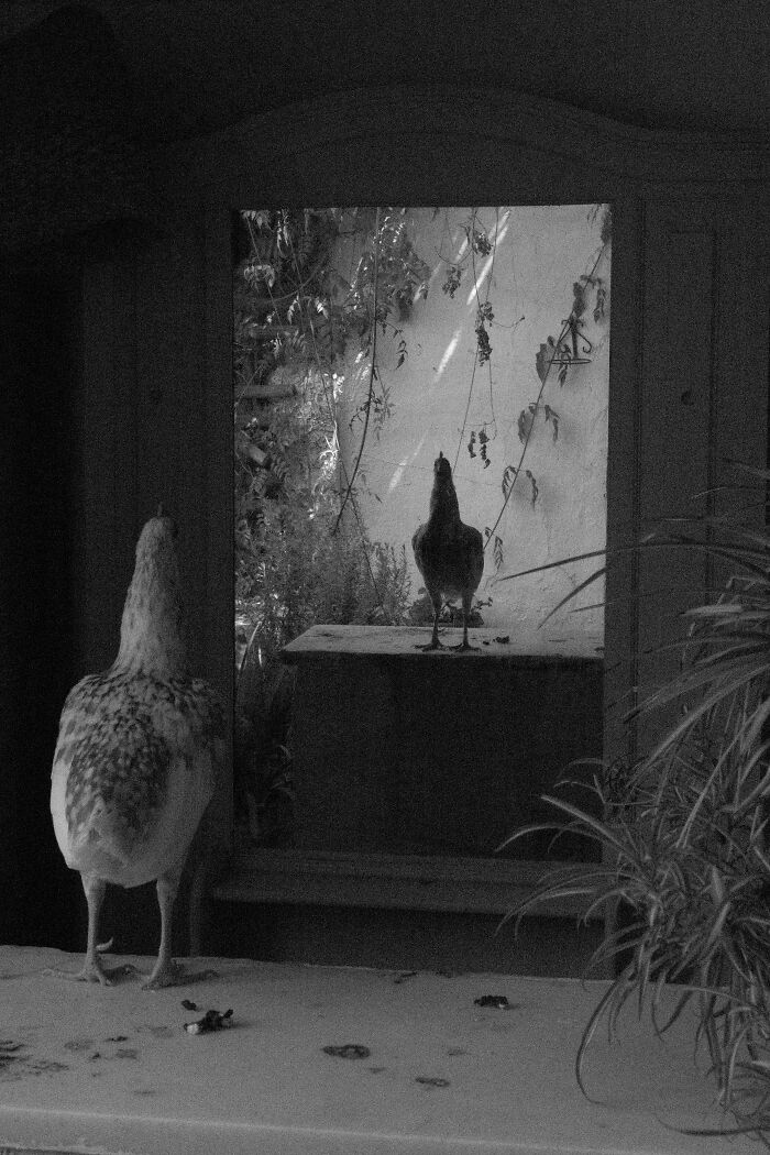 Through Max ISO, I Captured The Fading Mind Of My Father Before He Passed