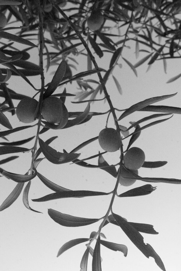 Through Max ISO, I Captured The Fading Mind Of My Father Before He Passed