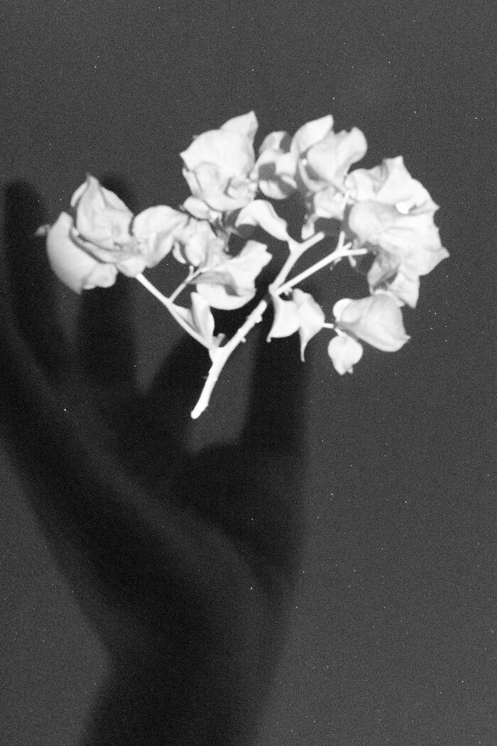 Through Max ISO, I Captured The Fading Mind Of My Father Before He Passed