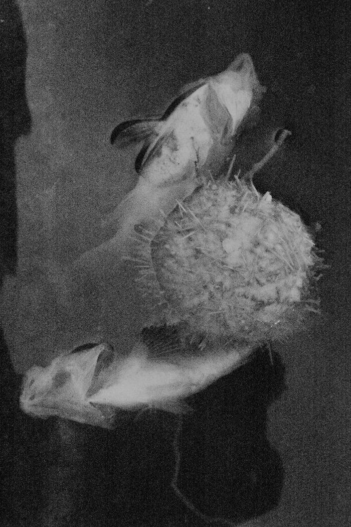 Through Max ISO, I Captured The Fading Mind Of My Father Before He Passed