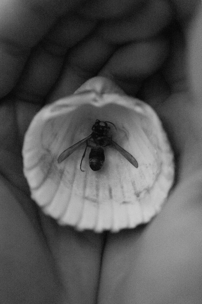 Through Max ISO, I Captured The Fading Mind Of My Father Before He Passed