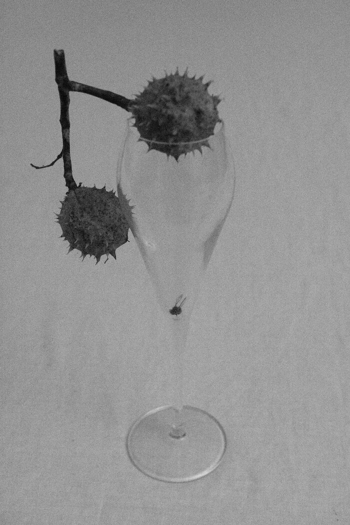 Through Max ISO, I Captured The Fading Mind Of My Father Before He Passed