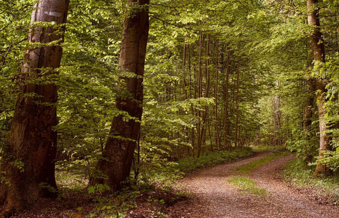 42 Creepy Moments People Can’t Forget That Keep Coming Back To Them